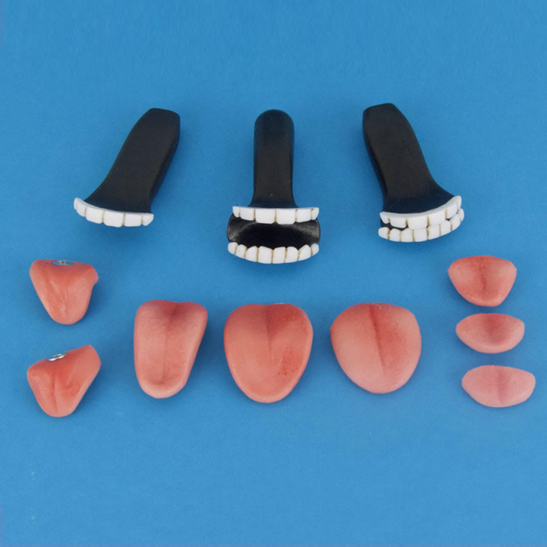 Normal Teeth Set